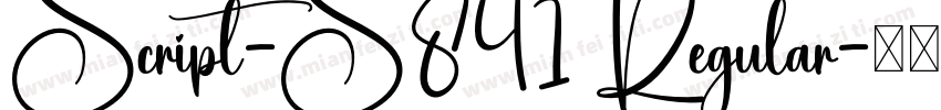 Script-S841 Regular字体转换